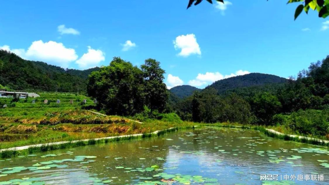 快手双击免费网站：快手免费速刷双击秘籍大全_24小时在线接单网站